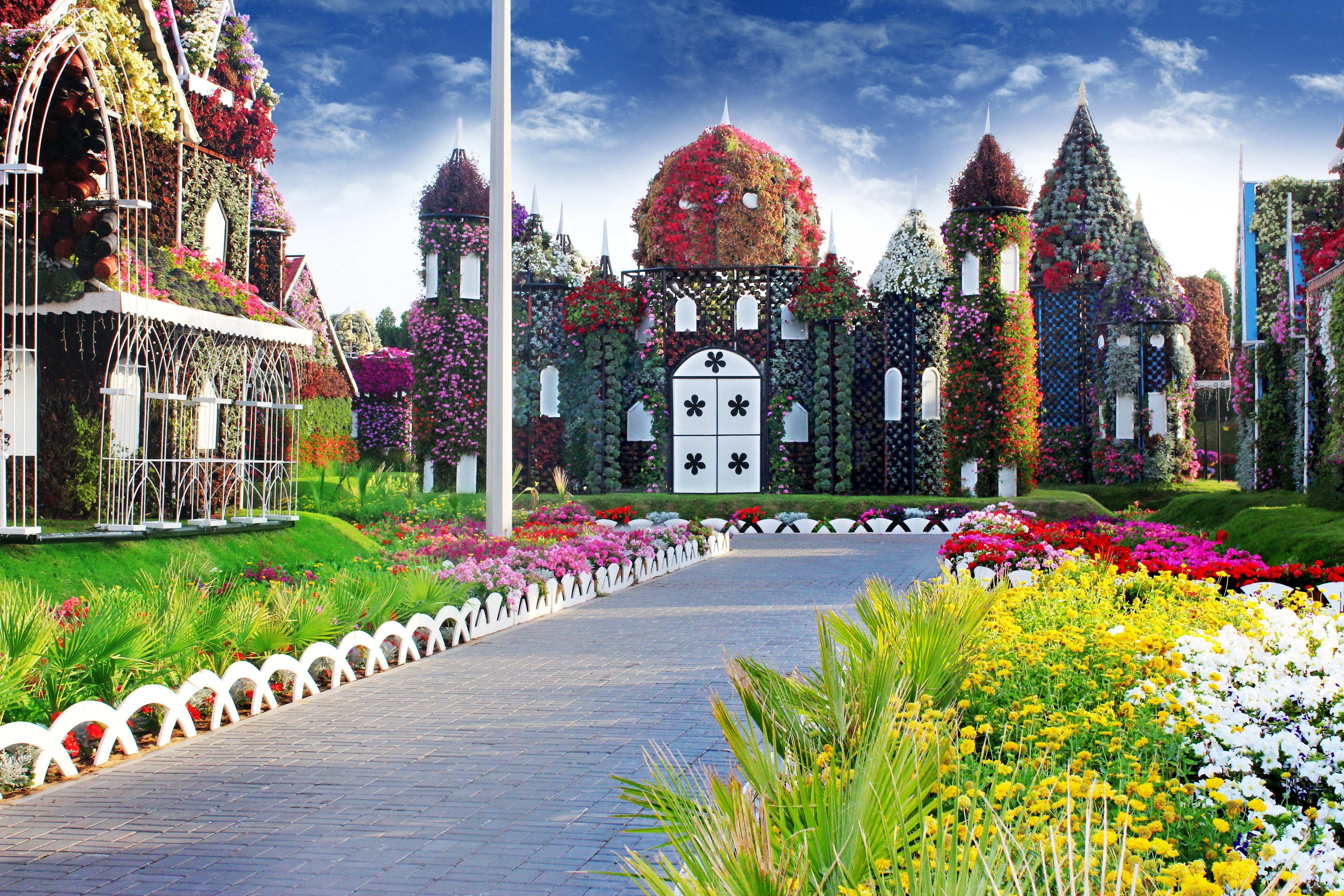 Дивсад. Гарден парк Дубай. Миракл Гарден Дубай. Парк цветов Miracle Garden (ОАЭ, Дубаи). Сад чудес Абу Даби.